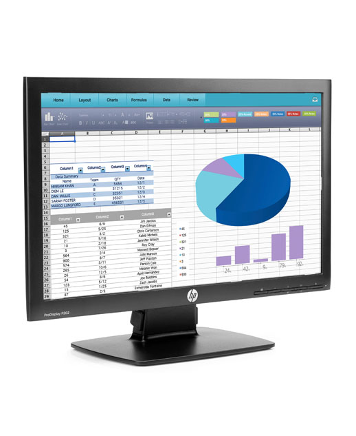 Monitor HP Pro Display P202 20" VGA DP